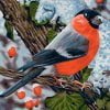 Bullfinch Bird On Branch Paint By Numbers