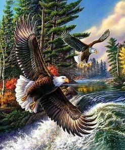 Wild Eagles Paint By Numbers