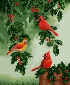 Red Cardinals Birds Paint By Numbers