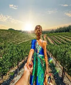 Follow Me To The Field Paint By Numbers