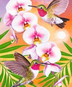 Hummingbirds And Flowers Paint By Numbers