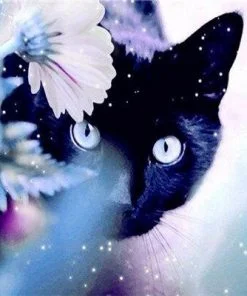 Cat And Flowers Paint By Numbers