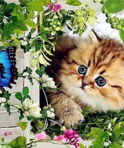 Cat And Butterfly Paint By Numbers