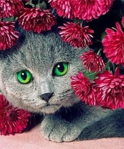 British Shorthair And Flowers Paint By Numbers