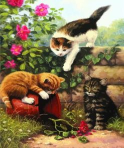 Cats In Garden Paint By Numbers
