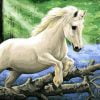 White Pony Horse In The Bluebell Wood Animals Paint By Numbers