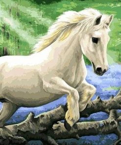 White Pony Horse In The Bluebell Wood Animals Paint By Numbers