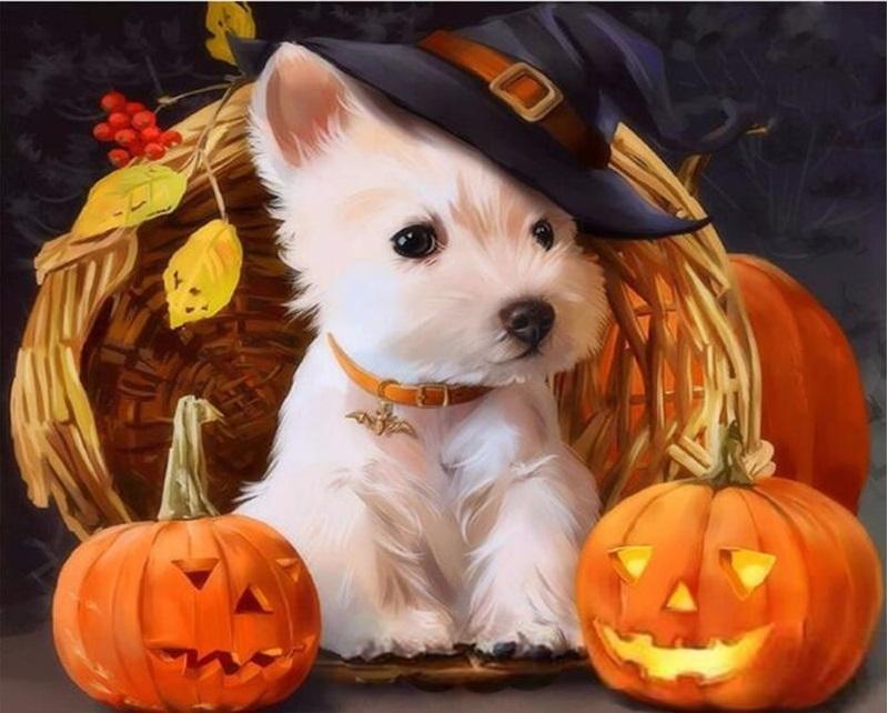 Halloween Dog paint by numbers