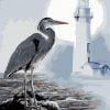 Heron Bird Paint By Numbers