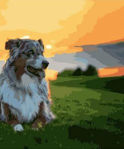 Australian Shepherd Dog Paint By Numbers