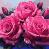 Pink Roses Paint By Numbers