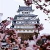 Himeji Castle Paint By Numbers