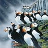 Puffin Birds Paint By Numbers