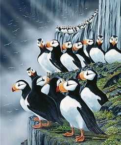 Puffin Birds Paint By Numbers