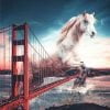 Horse Golden Gate Bridge Paint By Numbers