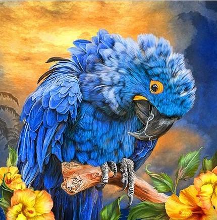 Hyacinth Macaw Paint By Numbers - Numeral Paint Kit
