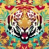 Hypnotic Tiger paint by numbers