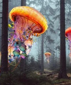 Jellyfish In Forest Paint By Numbers