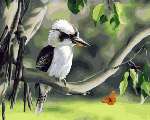 Kookaburra on Branch paint by numbers