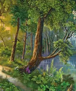 Forest River Paint By Numbers