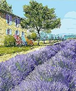 Lavender Field Paint By Numbers
