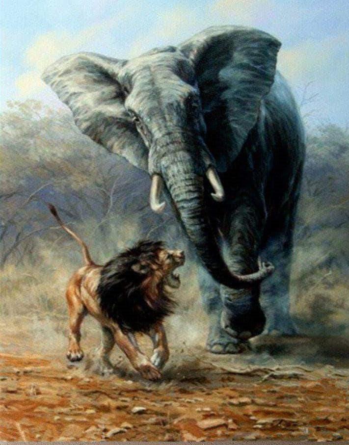 Lion and Elephant paint by numbers