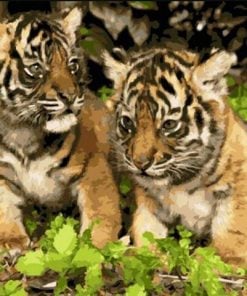 Little Tiger Brothers paint by numbers