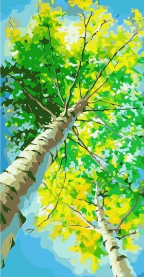 Looking up at Tree Landscape Paint By Numbers - Numeral Paint Kit