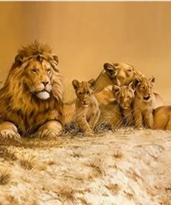 Lion Family Paint By Numbers