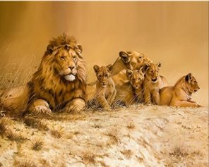 Lion Family Paint By Numbers