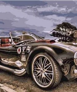 Classic Car Paint By Numbers