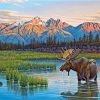 Solitude Elk Animals Paint By Numbers