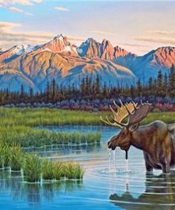 Solitude Elk Animals Paint By Numbers