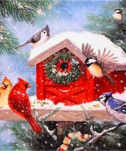 Christmas Birds House Paint By Numbers