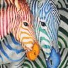 Orange And Blue Zebra Paint By Numbers