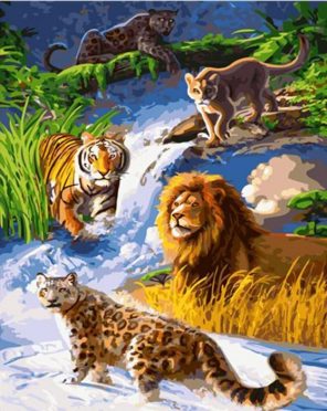 African Big Cats Paint By Numbers