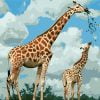 Giraffe Mother And Calf Paint By Numbers