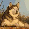 Husky Dog Paint By Numbers