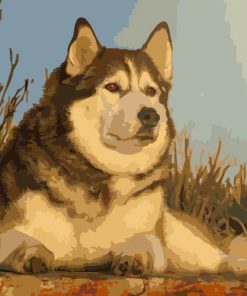 Husky Dog Paint By Numbers