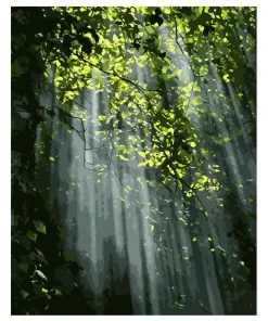 Leaves of dense forest Landscape Paint By Numbers