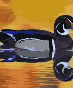Duck Water Reflection Paint By Numbers