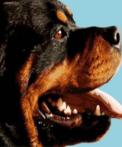 Rottweiler Dog Paint By Numbers