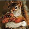 Squirrel Eating Paint By Numbers