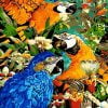 Parrots Birds Paint By Numbers