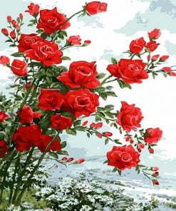 Red Roses Paint By Numbers