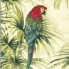 Parrot With Red Head paint by numbers