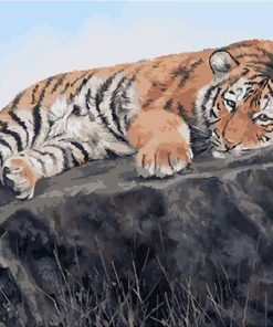Tired Tiger Paint By Numbers