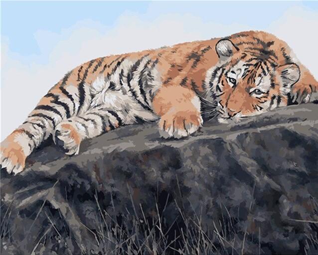 Tired Tiger Paint By Numbers