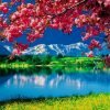 Nature Scenery Paint By Numbers