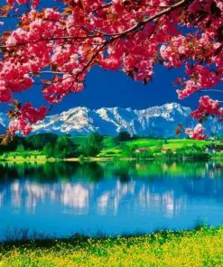 Nature Scenery Paint By Numbers